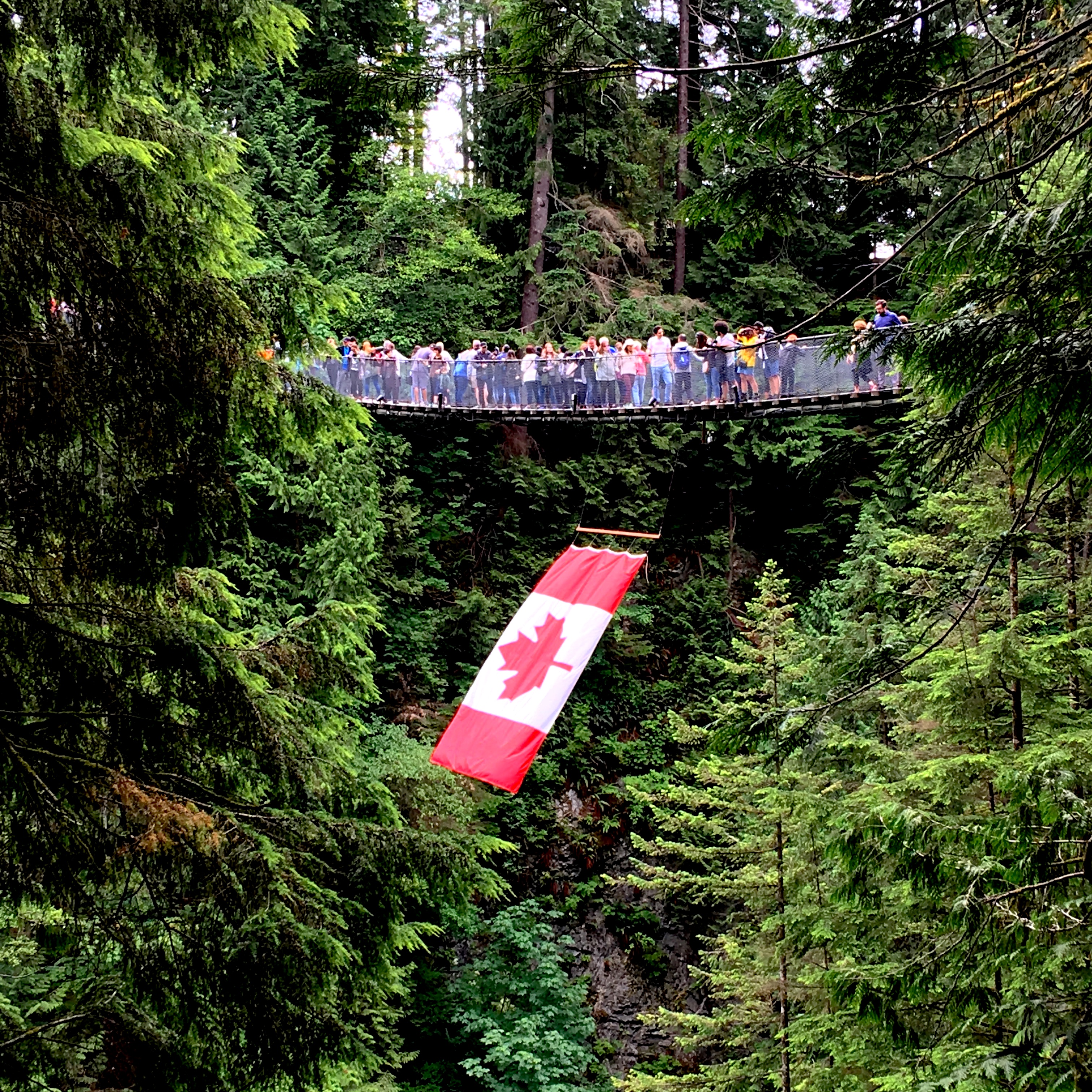 This bridge once took the impact of a 46-ton, 300-year-old Douglas fir tree and survived.